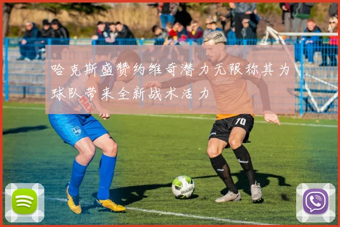 哈克斯盛赞约维奇潜力无限称其为球队带来全新战术活力